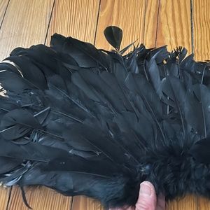 Black feather